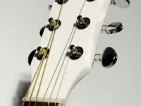 Представляю гитару ANDREW JZ-7006, фотография 2