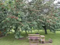 Продается дом, фотография 9