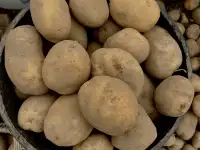 Картофель отборный