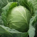 продам вкусную,сочную капусточку 2012г. 1750, фотография 5