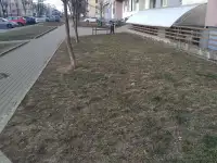 сдам в аренду помещение сферы услуг, ул. Нововиленская, 10