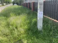 Покос травы, бурьяна, фотография 4