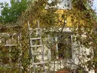 Продаётся дача около д.Лиски, фотография 3