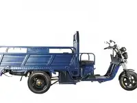 Грузовой электротрицикл rutrike d4 1800 60v1200w, фотография 2
