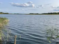 Отдых в гармонии с природой, деревня Заречье, фотография 3