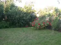 Продается дача в деревне Жаховичи, фотография 2