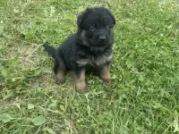 Продаю, фотография 2