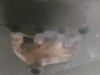 Для поло 89г, фотография 4