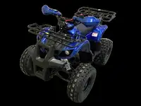 Квадроцикл motoland 125 fox