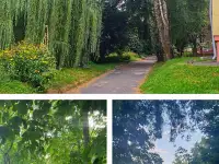1к квартира в г.Мозырь, Коласа 17, недалеко от реки, фотография 12