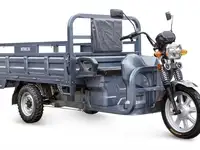 Грузовой электротрицикл rutrike титан next 2000 60v1500w