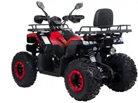 Квадроцикл racer rc200 gladiator 200cc, фотография 2