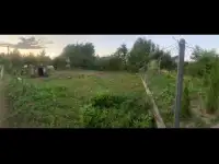 Продается отличный земельный участок в СТ Лососянка рядом с д. Коробчицы
