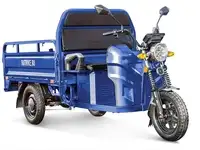 Грузовой электротрицикл rutrike мастер 1500 60v1200w
