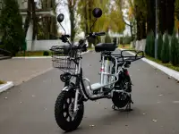 Электровелосипед AVM E-ALFA Fat, фотография 9