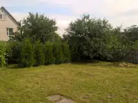 Дача рядом г.Заславль, фотография 6