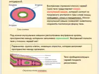 Репетитор русский язык / биология, фотография 3