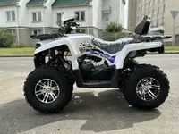 Квадроцикл amoto hummer 200 l (pro), фотография 5