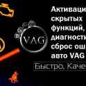 Активация скрытых функций VAG Skoda VW Audi РУСификация CarPlay, фотография 2