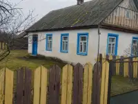 Каменный дом д.Ракитно