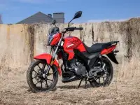 Мотоцикл STELS RK125, фотография 2