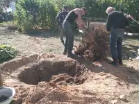 Работа на вашем участке, фотография 8