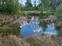 Продажа, Д.Оса район, фотография 3