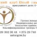 Спортивная гимнастика для детей в Минске, фотография 2