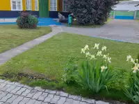Усадьба с баней в д. Дворище