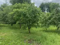 Дом дача, Минская область, деревня Кулики, дом 20 А, фотография 7