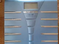 Умные весы с анализатором жира Camry EF231BW, фотография 1