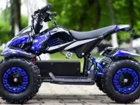 Электроквадроцикл MMG Eco Cobra 800W, фотография 4