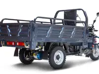 Грузовой электротрицикл rutrike титан 2000 гидравлика 60v1500w, фотография 6
