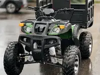 Квадроцикл грузовой atv storm panther, фотография 4