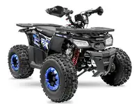 Квадроцикл amoto wild 125