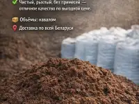 Торф