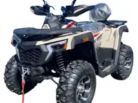 Квадроцикл racer ranger 250, фотография 8