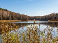 Срочно продам участок, Д. Пруды,Держинского 53 , Столбовский р-н область