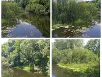 Продам дачу, СТ Добосна, фотография 7