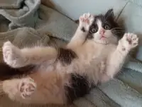 Ну где ты, моя семья?), фотография 6