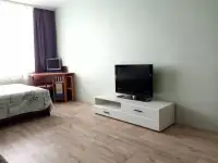 Цена за сутки за всю квартиру. Реальные фото и цены., фотография 11