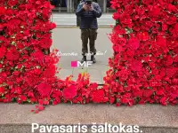 Инвестируйте правильно