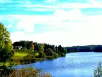 Продаётся квартира, Дрибинский район. Рясна, фотография 10