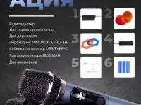 Беспроводные ручные караоке микрофоны пара на АКБ, фотография 4