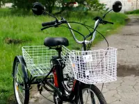 Электровелосипед AVM E-ALFA TRIKE 24, фотография 11