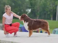 Хендлер в Минске, фотография 6