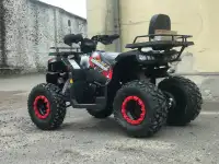 Квадроцикл YACOTA WARRIOR 200cc, фотография 7