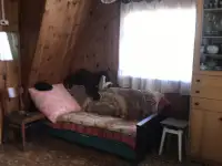 Продам дачу!, Горняк 3, фотография 9