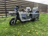 Электротрицикл грузопассажирский, фотография 2