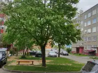 Продается квартира под ремонт с функциональной планировкой, фотография 8